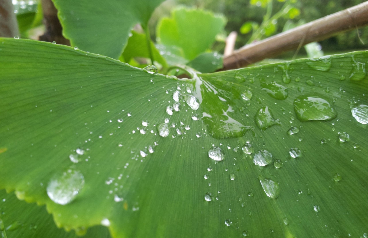 发卡网站稳定的网络ddos攻击软件